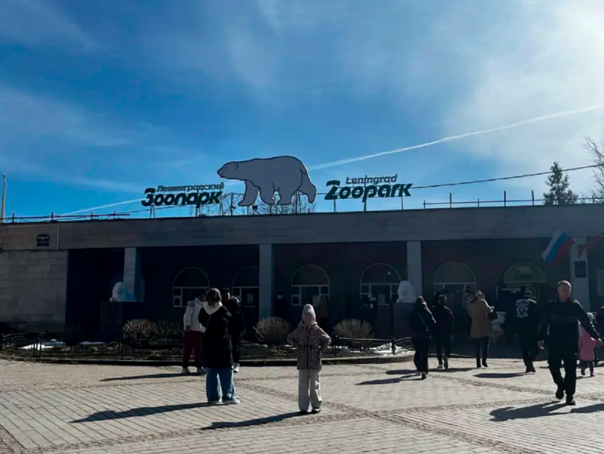    Фото: Мойка78