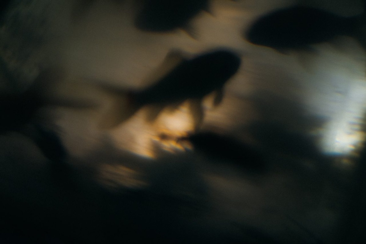 Рыбы
Фото: Владимир Аверин для ТД