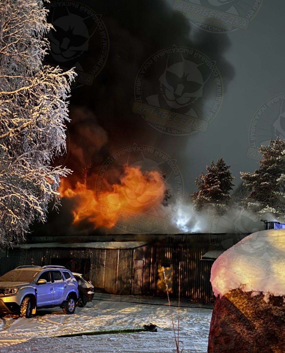    фото: © Антибеседка Костомукша