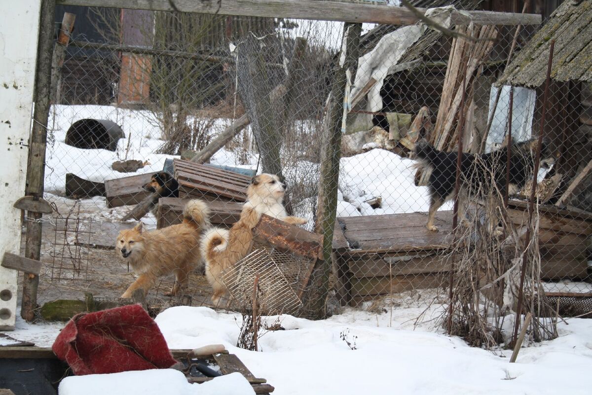 Фотография из свободного доступа