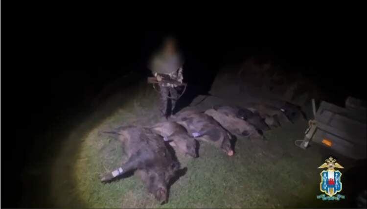    Скрин с видео ГУ МВД России по региону. Газета "Земля"