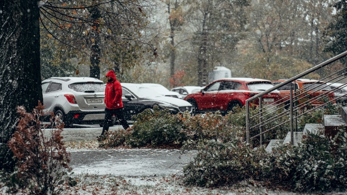 Светлана Мулыкина📷
