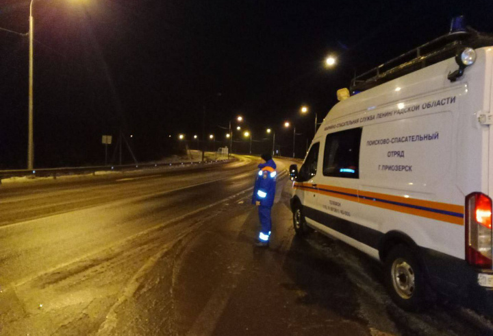 фото: аварийно-спасательная служба Ленобласти