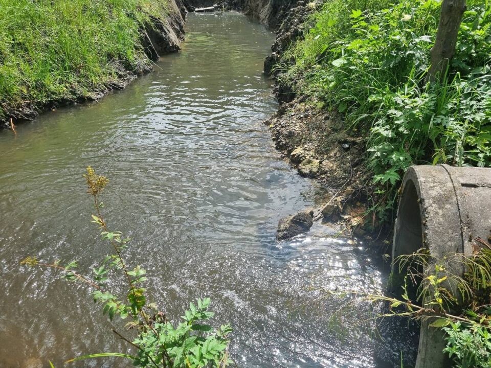    Незаконное использование ручья в Республике Алтай. Источник: Прокуратура Республики Алтай