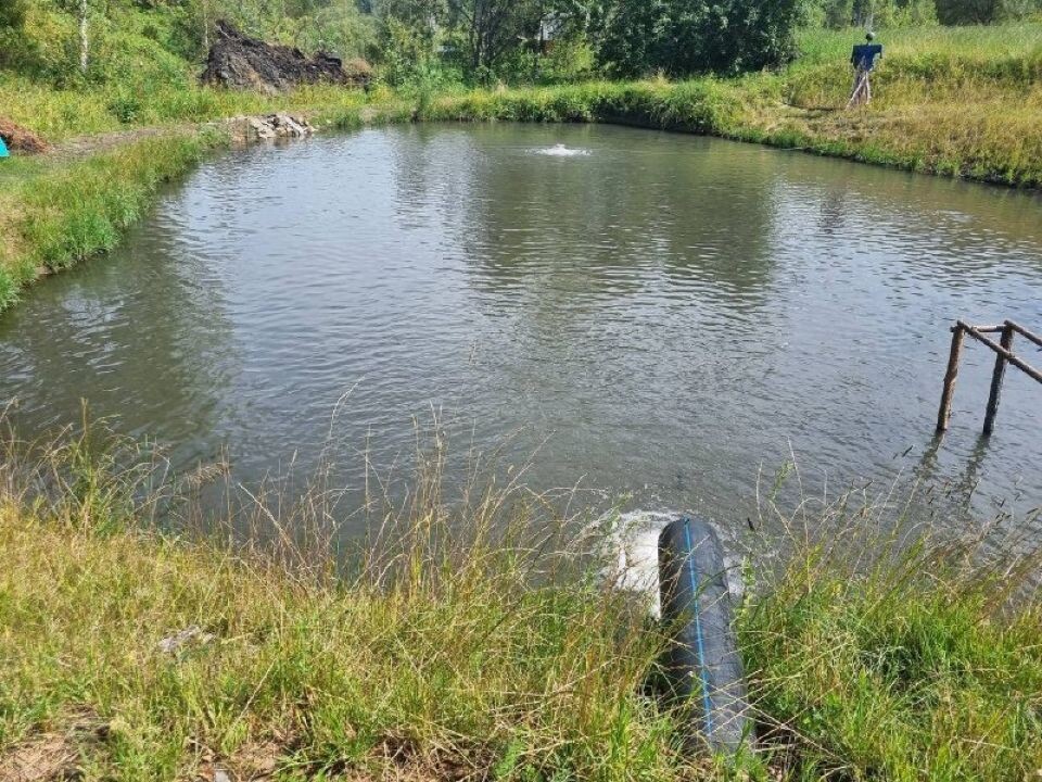    Незаконное использование ручья в Республике Алтай. Источник: Прокуратура Республики Алтай