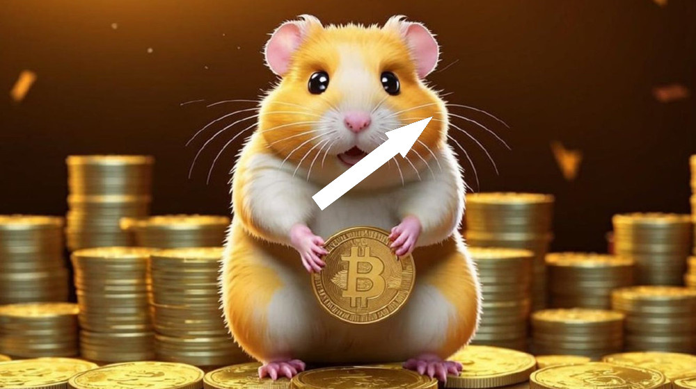    Почему стоит забыть про Hamster Kombat пока все за хомяком гоняются