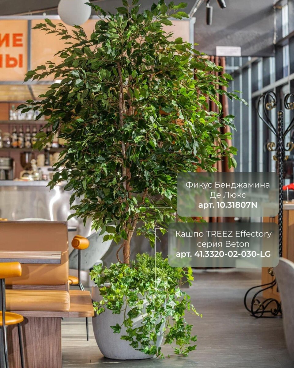 Кашпо и растения TREEZ Collection