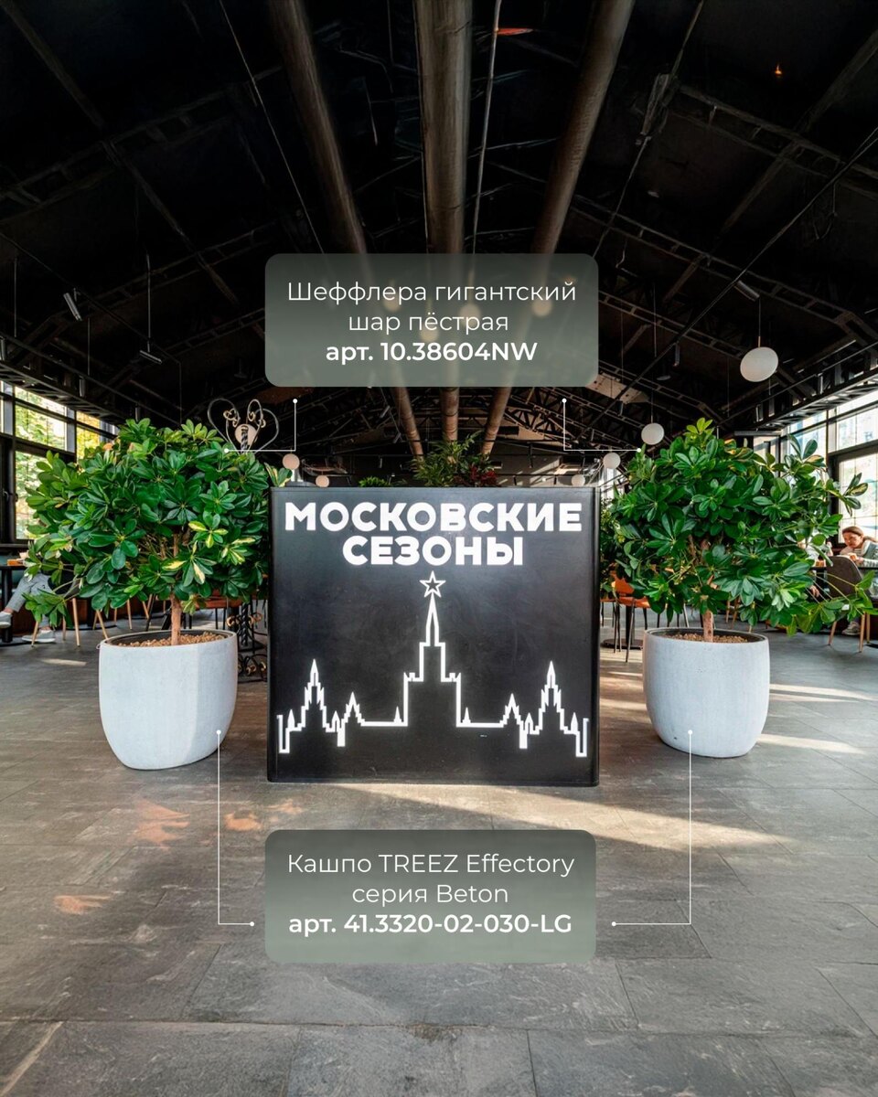 Кашпо и растения TREEZ Collection