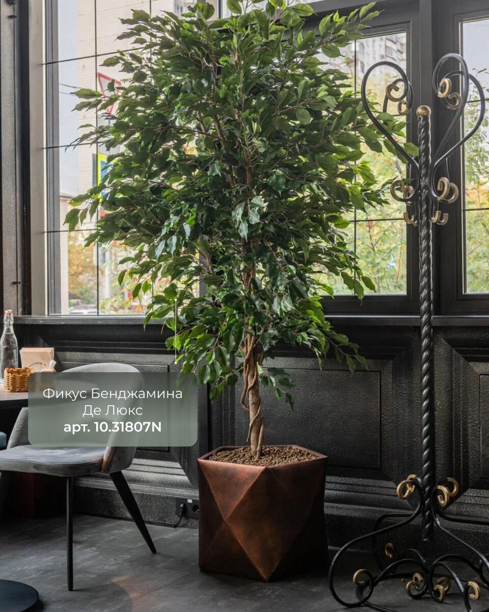 Кашпо и растения TREEZ Collection