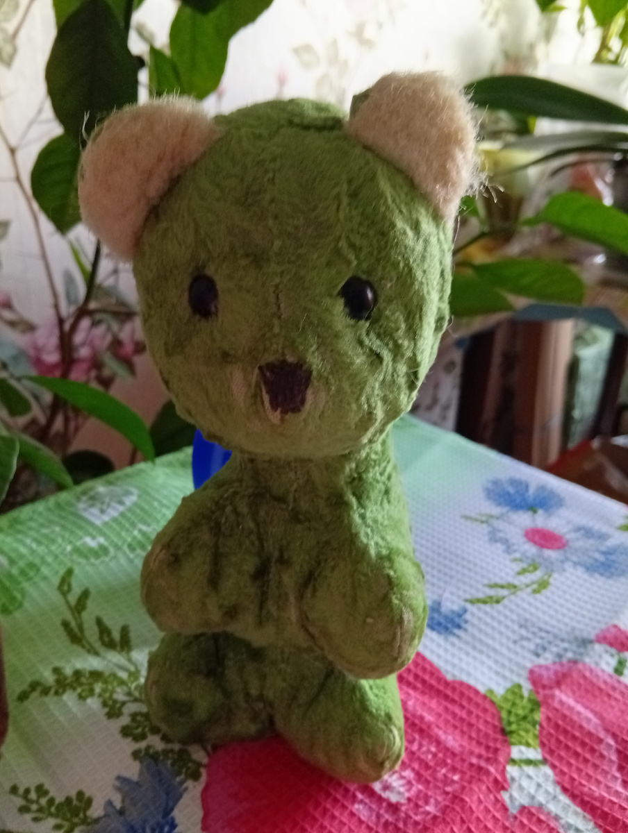 Фото автора. Вот эта любимая зелёная медведица , и назвали её Малаха.