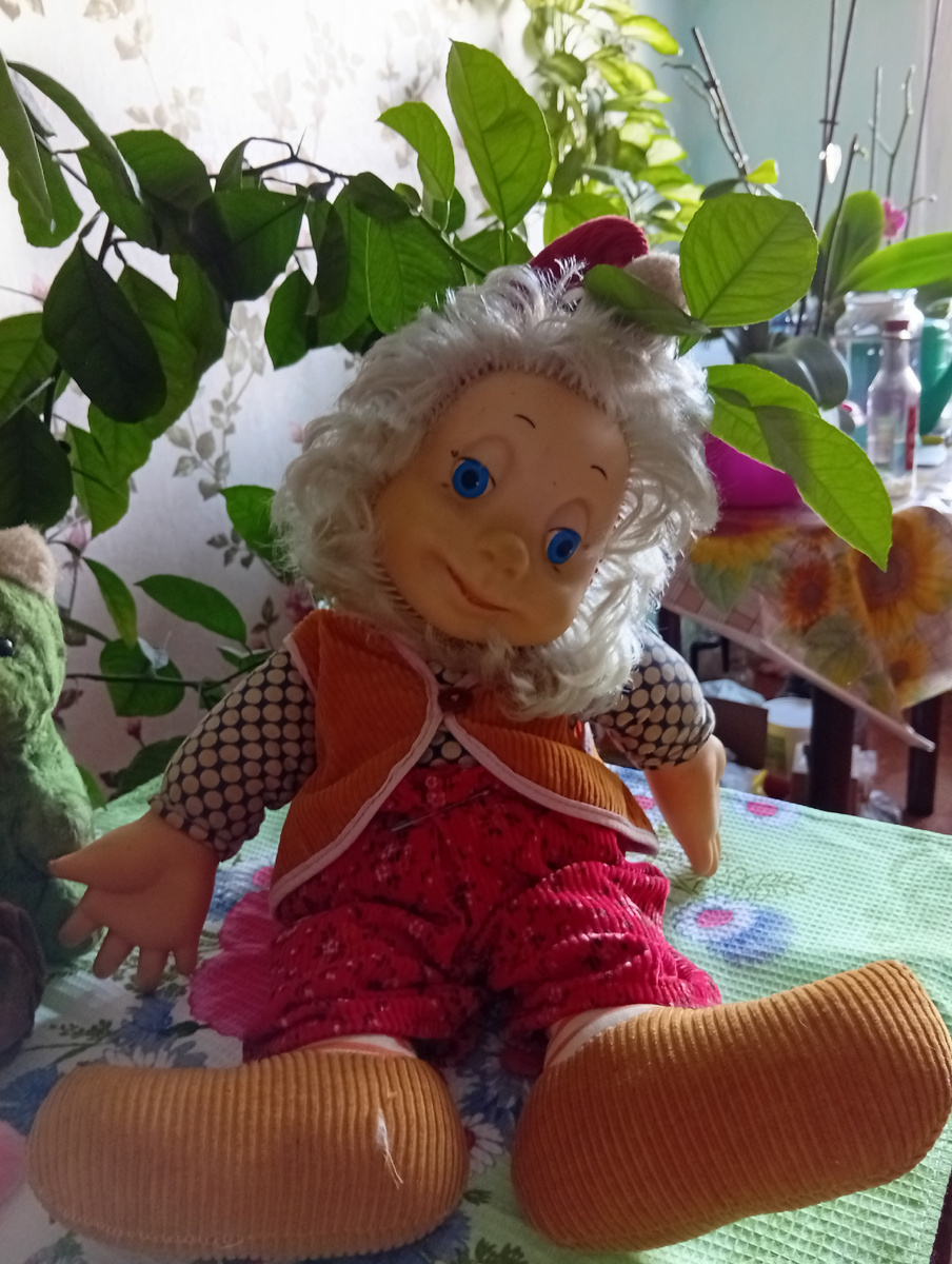 Фото автора статьи.Гном Димка.