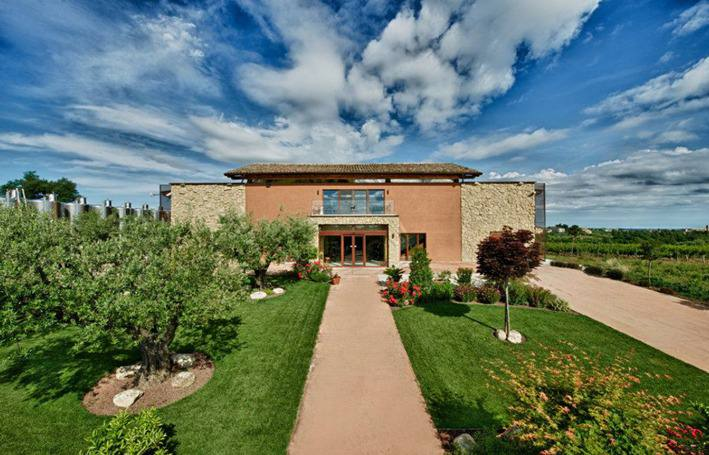 Фото ТГ-канала Вино и Ко