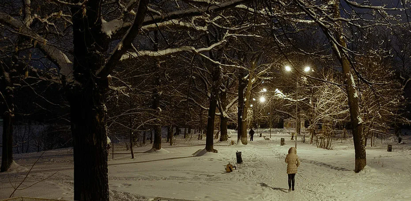 Фото из открытых источников