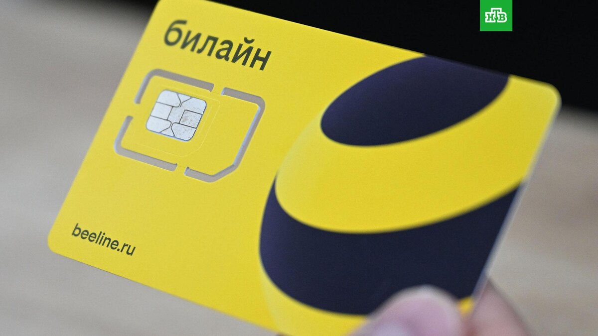    Фото: РИА Новости © 2025, Павел Бедняков