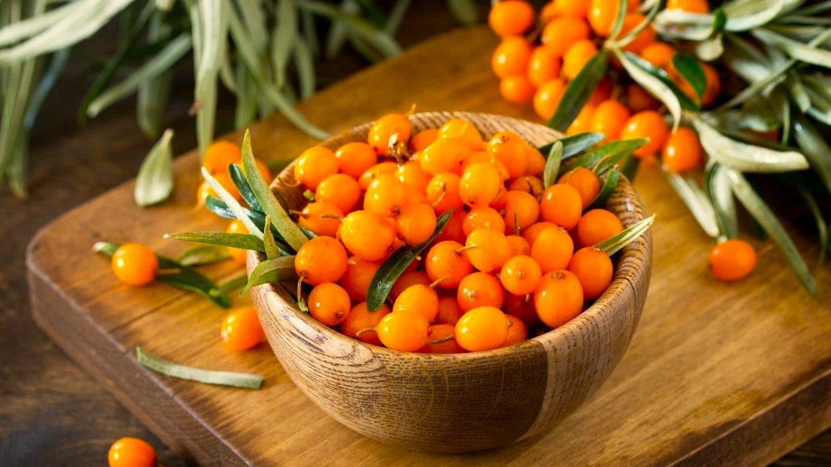 ягода облепихи