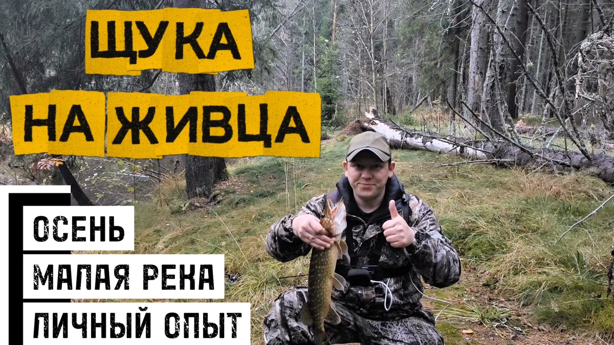Щука на живца осенью. Личный опыт!