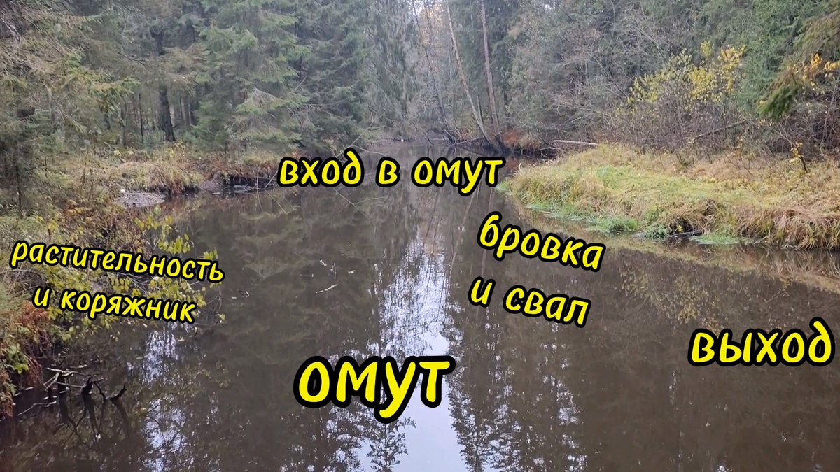 Перспективное место для ловли щуки.