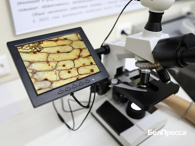 Фото: Валерия Шатько