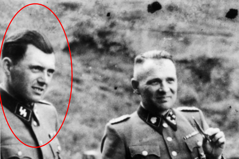 Фото из свободных источников.