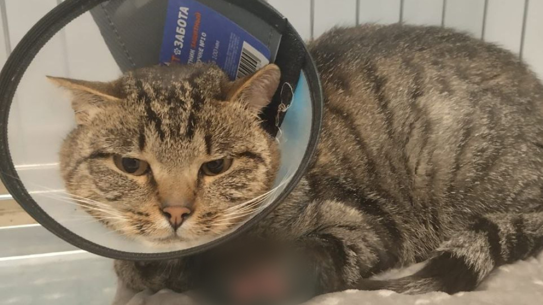    фото: минсельхоз мо.