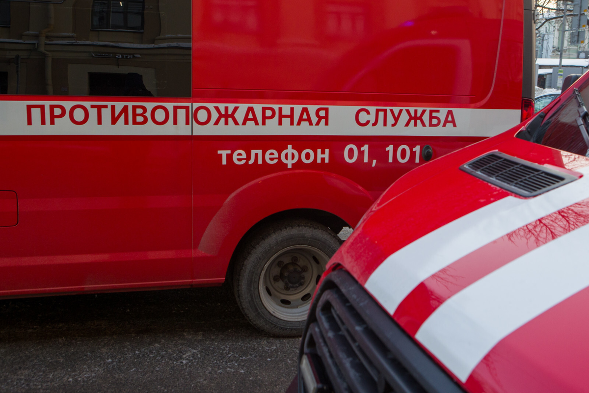 Фото: Олег Золото