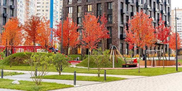    Фото: М. Мишин, mos.ru