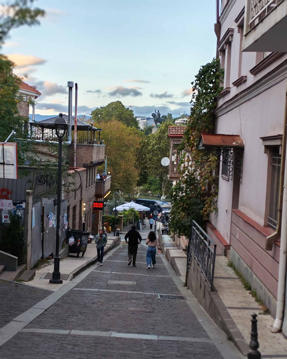 Улица Ботаническая. Тбилиси. Вдалеке статуя Вахтанга Горгасали. Самостоятельные путешествия. Про нашу жизнь