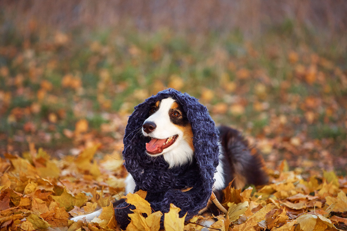 Утеплилась