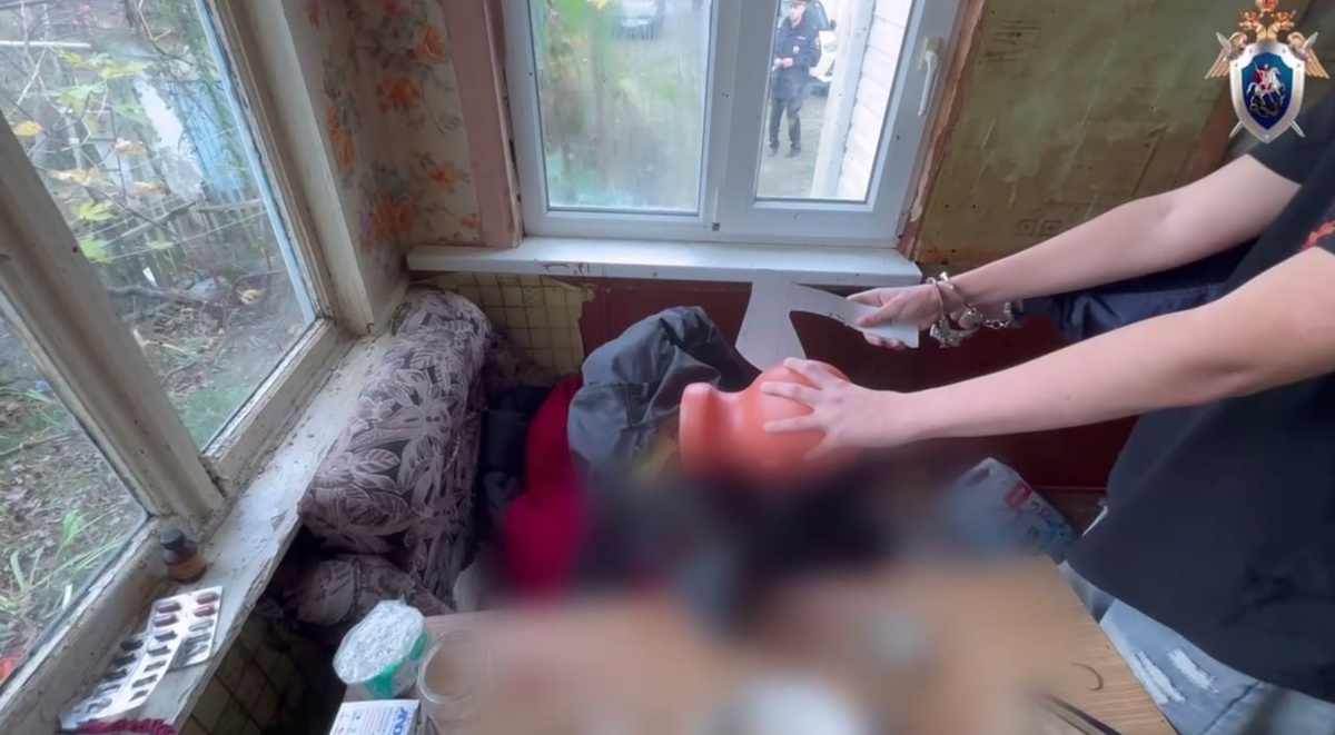    Фото t.me/kubansledcom