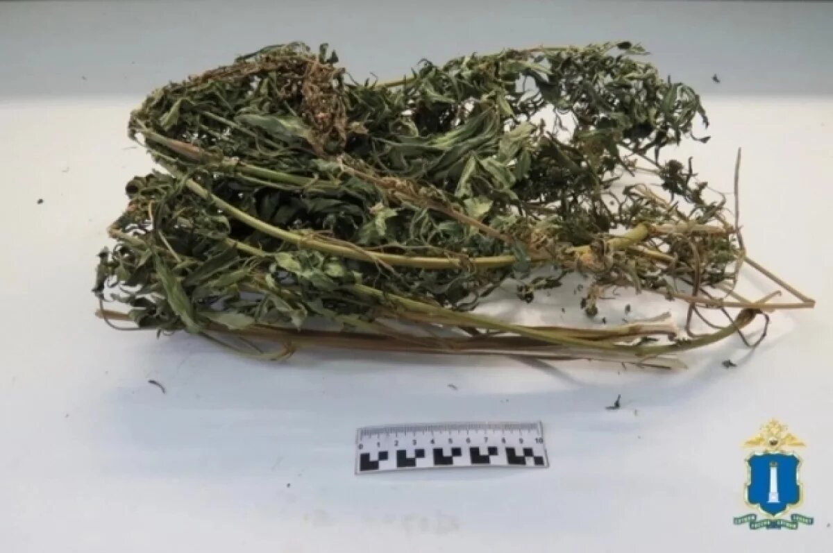    Житель Сурского района хранил в сарае свёрток с коноплёй