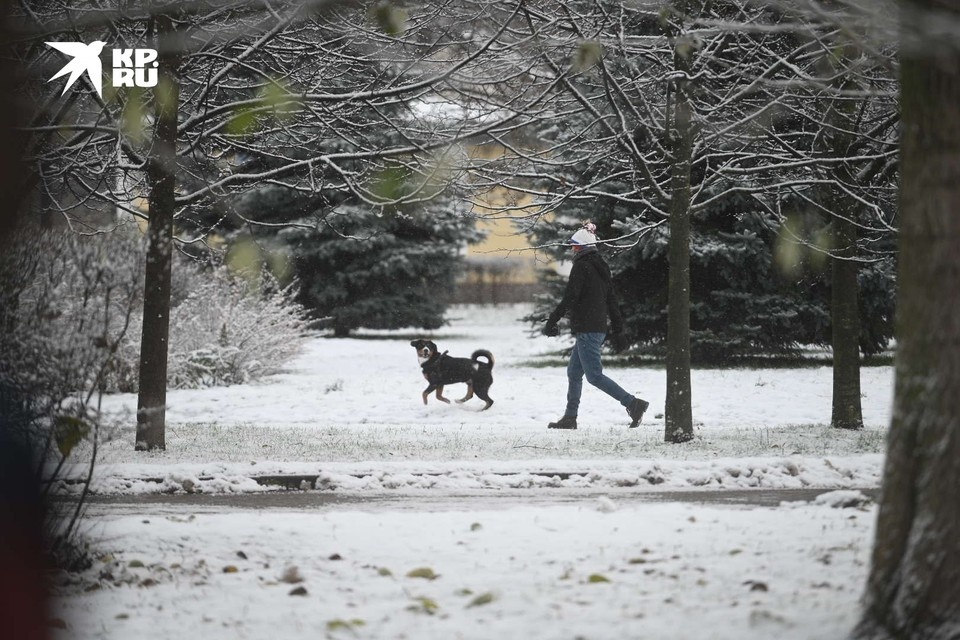    Кто не спрятался, инспектор не виноват... Алексей БУЛАТОВ