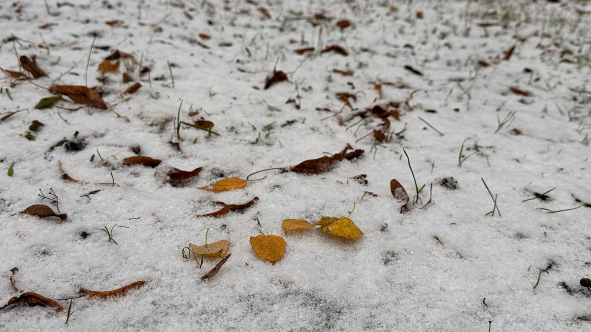 Второй "первый" снег в Москве, 21 ноября 2025 г.
