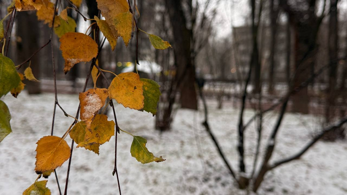 Сегодня пятница, и осень с зимой кружат в романтичном танце, напоминая, что в каждом дне есть свое маленькое очарование.