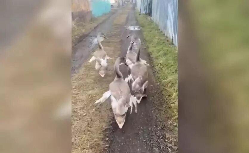 Фото: пресс-служба Минэкологии Челябинской области