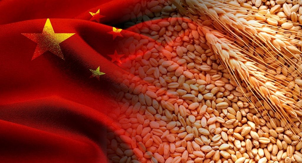    Экспорт зерна в КНР. Фото: «Центр оценки качества зерна» Анна Камалова