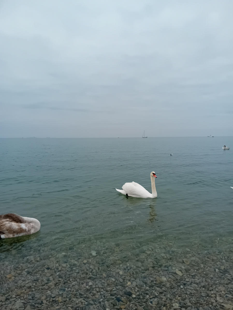 Авторское фото.