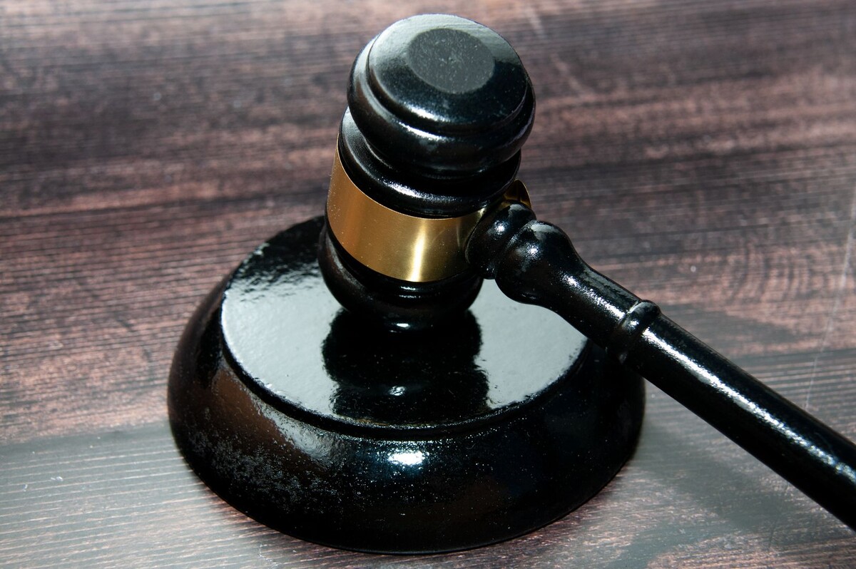     / Источник: © Svetlana Vozmilova/Global Look Press