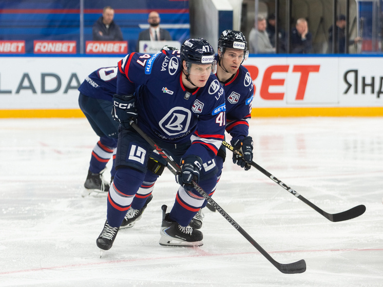     Фото: Андрей Холмов/ХК «Лада»