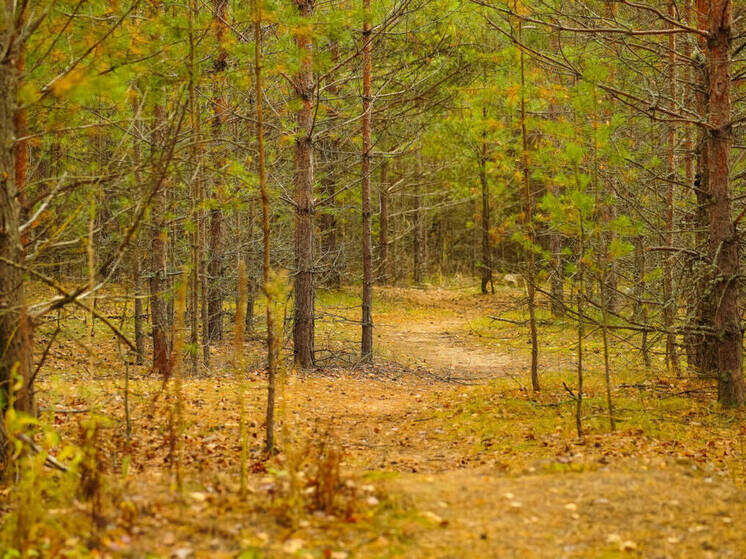     Фото: ИА "Татар-информ"