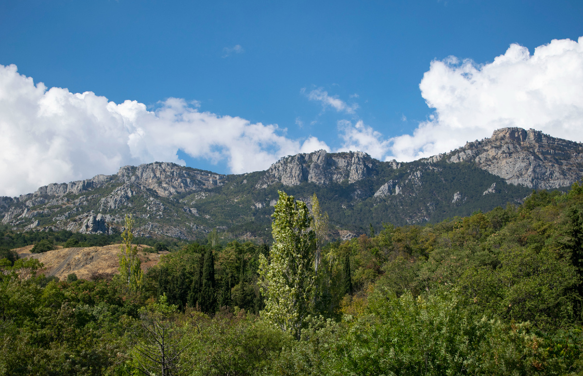 Массивный состав Крымских гор в Ай-Петринской яйле. Симеиз. Фотография автора статьи. 