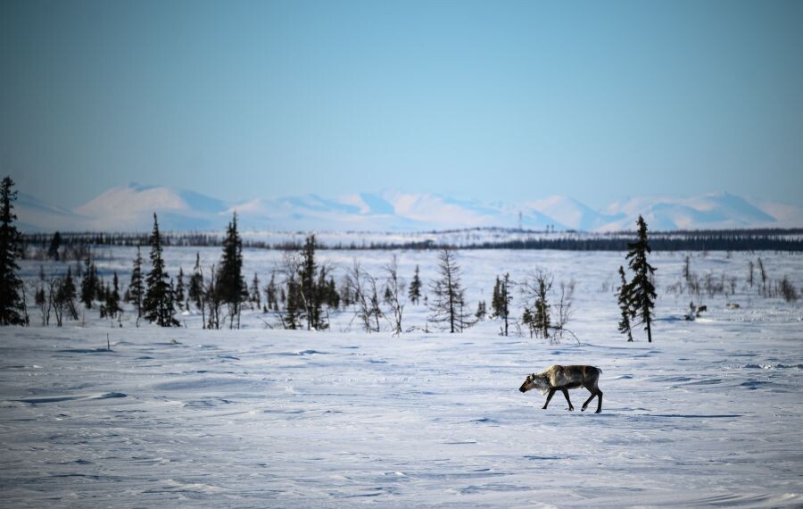     / Источник: © Рамиль Ситдиков/РИА Новости