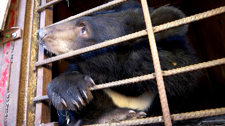    © АО "ТВ Центр"