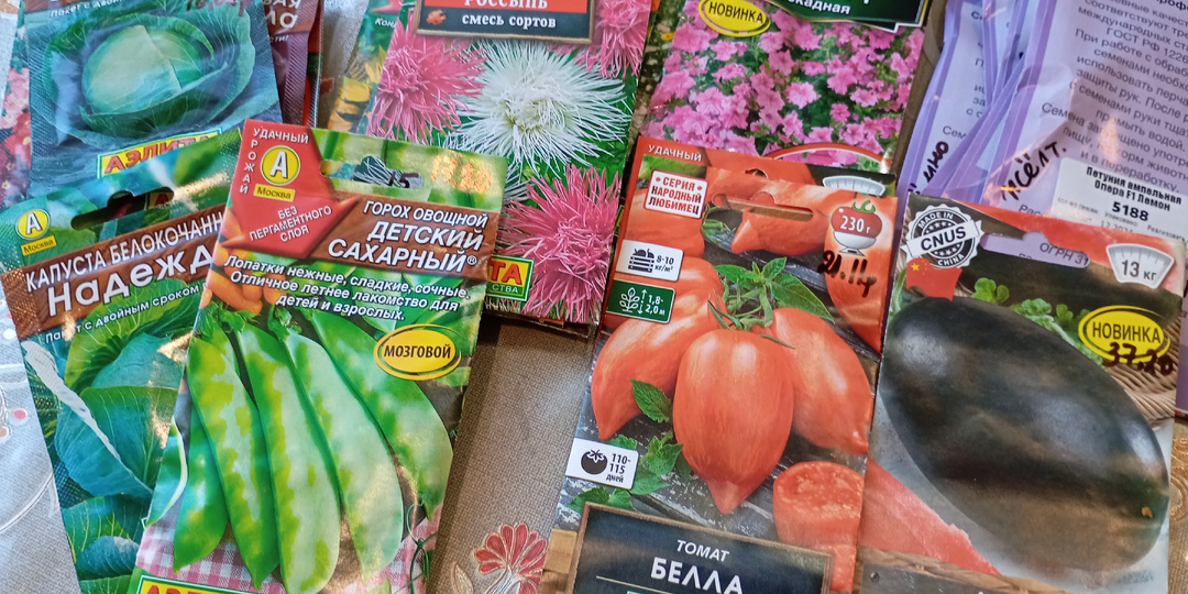 Нашла недорогие и хорошие семена для сезона 2026 г.🤔