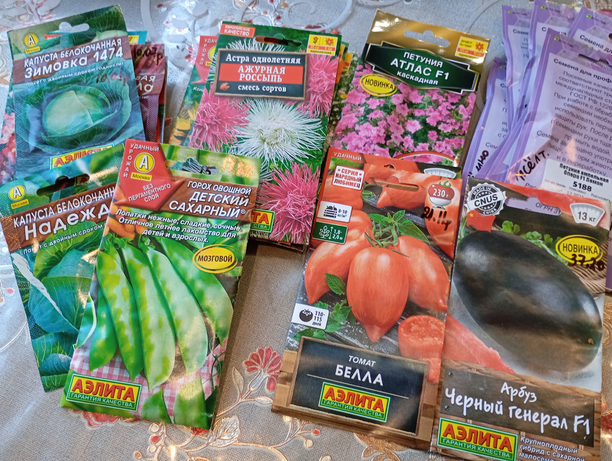 Фото автора.