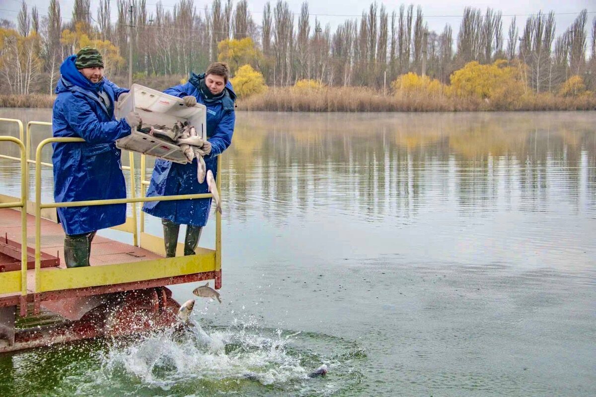Фото: Курская АЭС