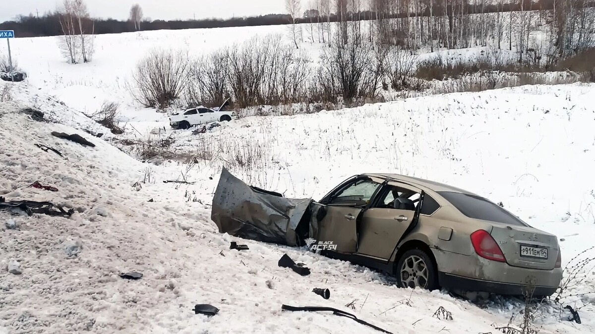     Источник: АСТ-54 Новосибирск