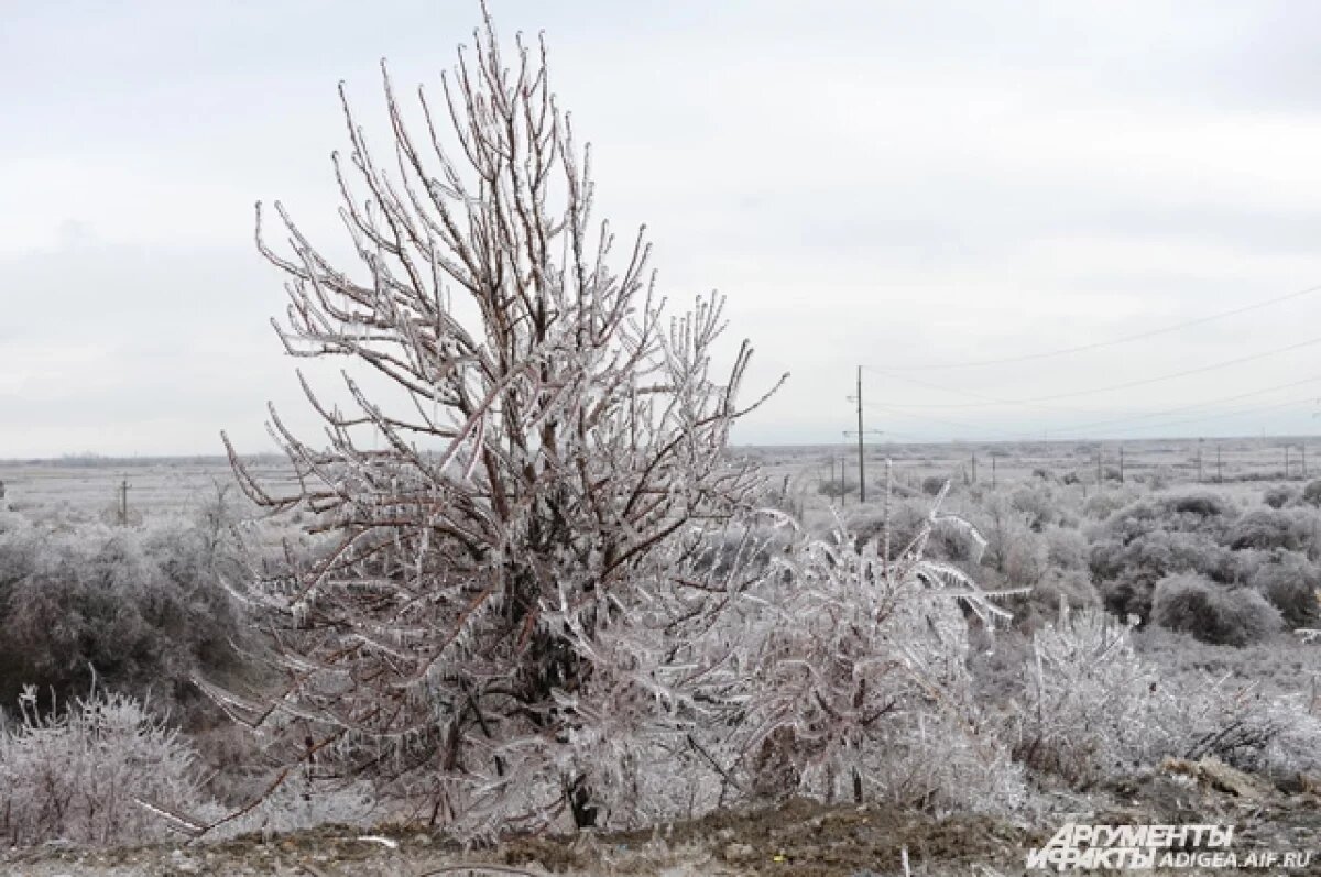    Ледяной дождь и туман ожидаются в Удмуртии 22 ноября