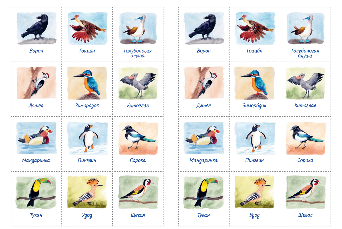 вкладыш с игрой