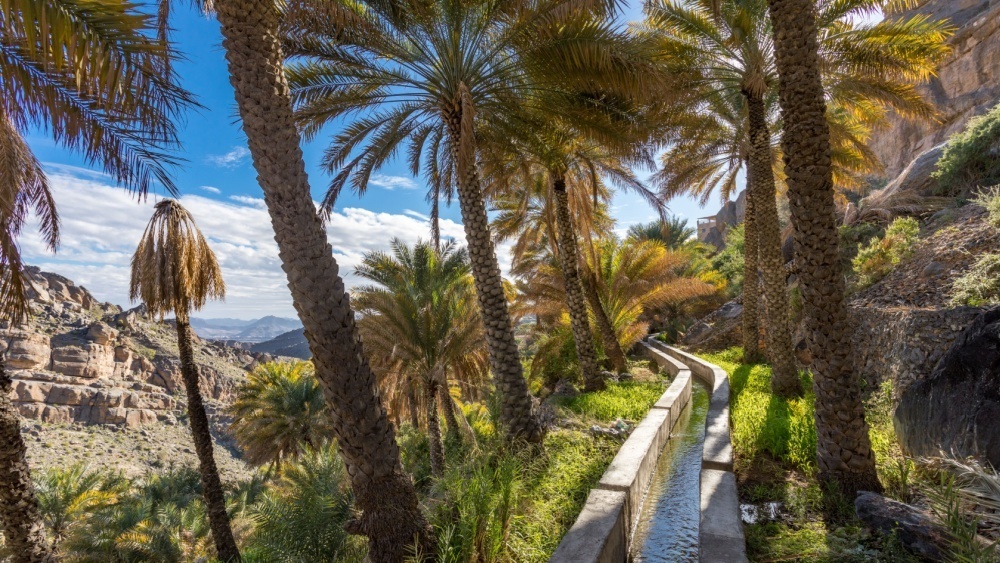     Фото: jackbolla/Shutterstock/FOTODOM