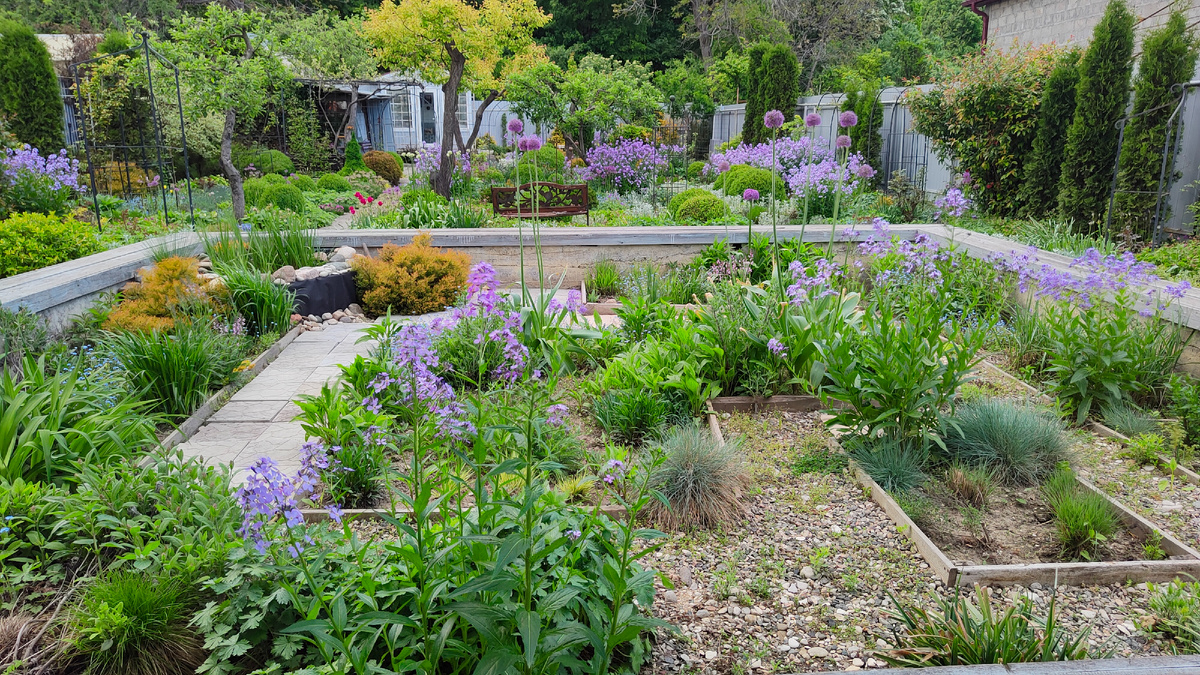 10 мая 2025 г. Цветник в фундаменте.